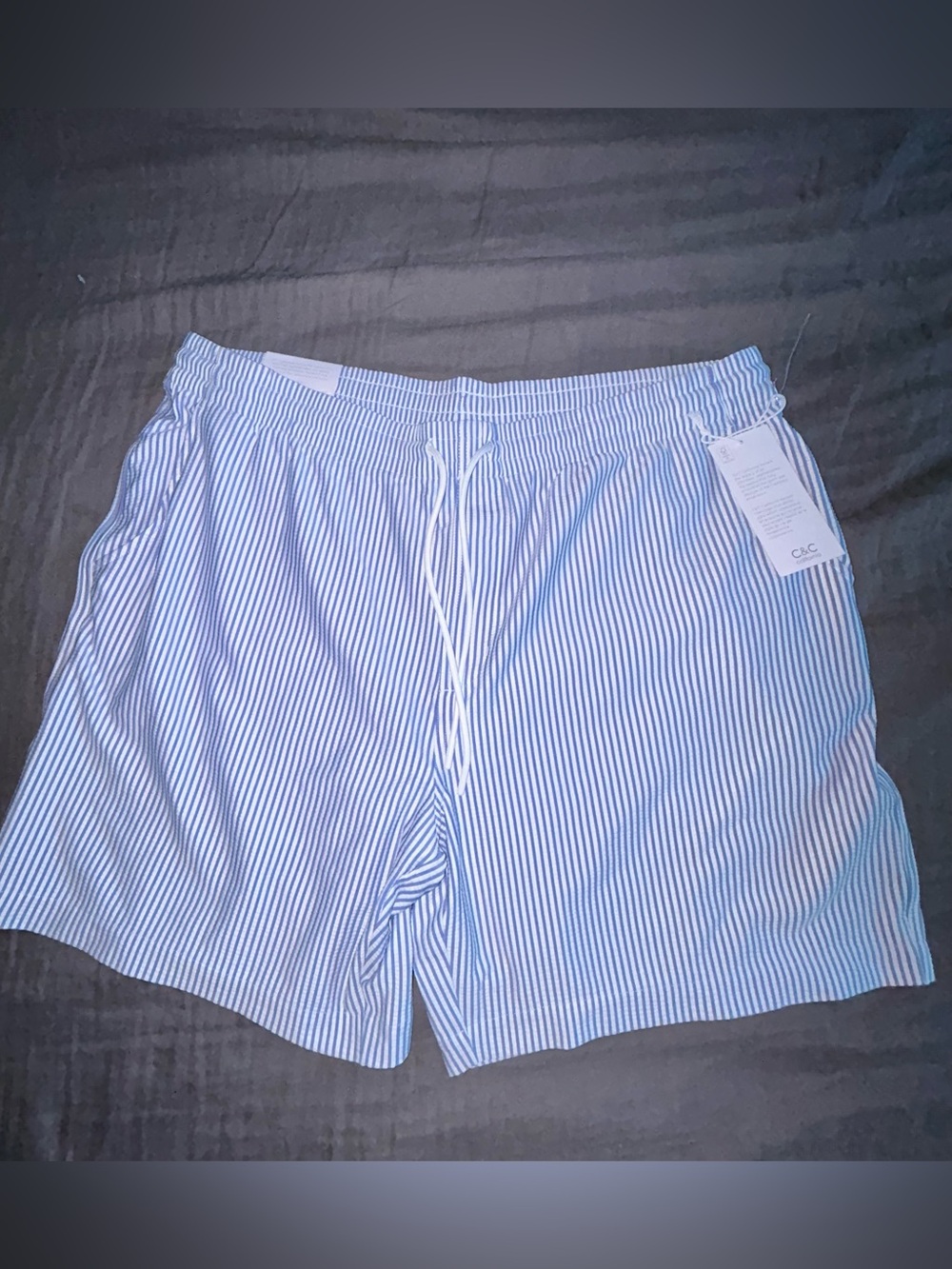 C&C California Blue & White Striped Seersucker Athletic Shorts